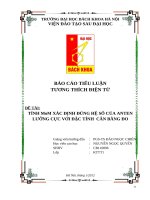 BÁO CÁO TIỂU LUẬN TƯƠNG THÍCH ĐIỆN TỪ TÍNH MoM XÁC ĐỊNH ĐÚNG HỆ SỐ CỦA ANTEN LƯỠNG CỰC VỚI ĐẶC TÍNH  CÂN BẰNG ĐO
