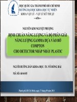 ĐỊNH CHUẨN NĂNG LƯỢNG VÀ ĐỘ PHÂN GIẢI NĂNG LƯỢNG GAMMA DỰA VÀO BỜ COMPTON CHO DETECTOR NHẤP NHÁY PLASTIC