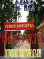 Báo cáo kết quả chuyên đề tăng cường tiếng việt HSDTTS