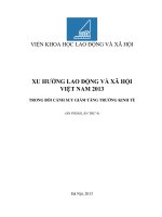 xu hướng lao động và xã hội việt nam 2013 trong bối cảnh suy giảm tăng trưởng kinh tế