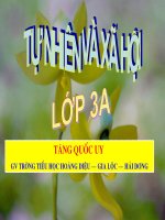 Bai Nam, thang va mua