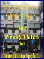 chinh ta: Bac si Y-ec-xanh