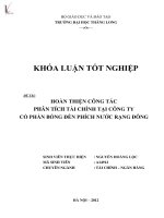 khóa luận tốt nghiệp hoàn thiện công tác phân tích tài chính tại công ty cổ phần bóng đèn phích nước rạng đông