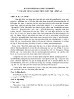 SKKN DẠY HS LỚP 3 VÙNG SÂU, VÙNG XA HỌC PHÂN MÔN TLV