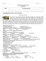 đề tiếng việt lớp 2 ( 2010-2011)