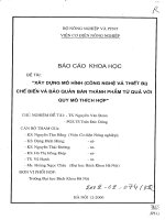 đề tài xây dựng mô hình (công nghệ và thiết b ị) chế biến và bảo quản bán thành phẩm từ quả với quy mô thích hợp