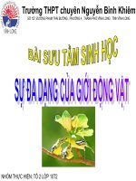 sự đa dạng của động vật ( sưu tầm )
