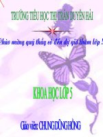 bài 66 Tác động của con người đến môi trường đất