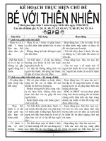 HIỆN TƯỢNG TỰ NHIÊN