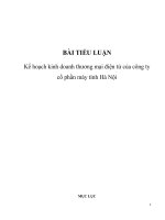 Kế hoạch kinh doanh hanoicomputer