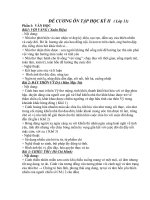 ĐỀ CƯƠNG ÔN TẬP NGỮ VĂN 11 (HKII)