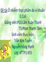 đề tài. ô nhiễm thực phẩm do vi  khuẩn e.coli