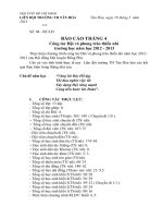 Báo cáo tháng 4 trường TH Tân Hòa