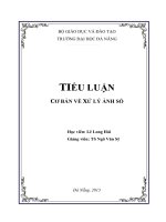 tiểu luận cơ bản về xử lý ảnh số