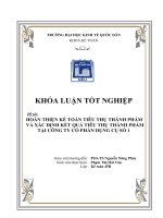 Hoàn thiện kế toán tiêu thụ thành phẩm và xác định kết quả tiêu thụ thành phẩm tại Công ty Cổ phần Dụng cụ số 1