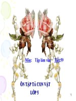 Ôn tập về tả con vật tuần 30 - lớp 5