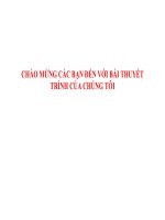 Bài 3: Tôn trọng người khác