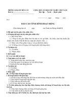 Mẫu báo cáo thanh tra toàn diện của đơn vị