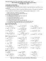 ĐỀ CƯƠNG HK II - LỚP 11 - 2013