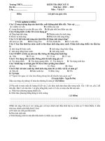 ĐÊ THI HKII VẬT LY 9