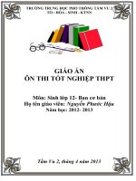 giáo án ôn thi tốt nghiệp môn sinh 2013
