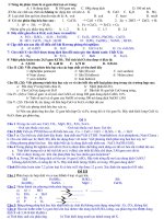 on tap kiem tra HK II