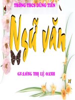 tiet 16,17 chuyen nguoi con gai nam xuong
