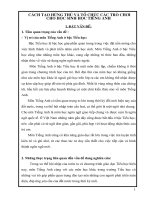 sang kien kinh nghiem 2013