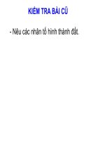 Lớp vỏ sinh vật