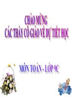 ON TAP CUOI NAM HINH 9 TIET 67