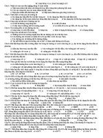 on thi hoc ki 2 vat ly 11