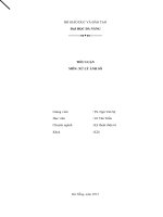 tiểu luận môn xử lý ảnh số object recognition