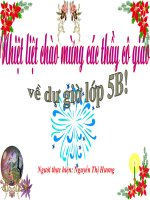 Bài 8: Dân số nước ta lớp 5