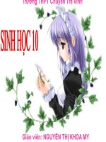 Nhân Vius - Sinh 10