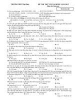 Giải chi tiết đề ĐA PHÚC