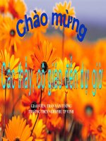 Bài 60+61 Cơ quan sinh dục nam, nữ