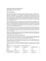 Thị trường tre nứa ở công hòa dân chủ nhân dân Lào một nghiên cứu trường hợp