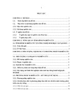 Ứng dụng mùn sinh học đóng bánh BEFGMYDT – 041206d nâng cao chất lượng đất bạc màu trên một số loại cây trồng chính trên địa bàn huyện phục hòa