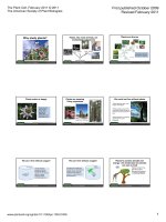 Tại sao phải nghiên cứu thực vật?