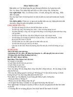 hiện tượng tự nhiên t2