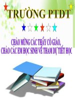 Bài giảng điện tử tin