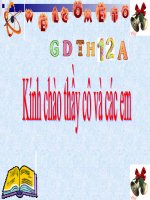 bài 61 trao đổi chất ở thục vật-duy quang