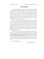 Chuyên đề một số giải pháp nhằm tăng cường thu hút đầu tư trực tiếp nước ngoài vào việt nam trong giai đoạn hiện nay