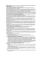 dề cương chuẩn k cần chỉnh