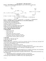 ôn tập hóa 9 100% tự luận