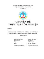 NÂNG CAO HIỆU QUẢ XỬ LÝ NỢ QUÁ HẠN TẠI NGÂN HÀNG NÔNG NGHIỆP  PHÁT TRIỂN NÔNG THÔN CHI NHÁNH THĂNG LONG