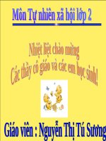 TNXH Mặt trời - Lớp 2 - Nguyễn Hải Tường