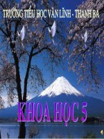 Vai tro cua moi truong doi voi con nguoi