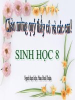 he than kinh sinh duong( hot)