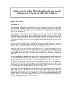 Nghiên cứu tình huống: Thị trường tiêu thụ cao su sản xuất quy mô nông hộ tại miền Bắc Thái Lan